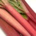 rhubarb rhubarb