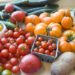 gardenvegies gardenvegies