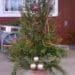 christmastree christmastree