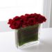 vdayroses vdayroses
