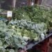 Vegetable Sale Vegetable Sale