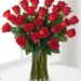 Long Stem Roses Long Stem Roses