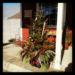 Tree-Topper-Pot