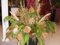 Holiday Decor and Greens