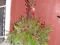 Holiday Decor and Greens
