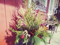 Holiday Decor and Greens
