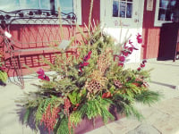 Holiday Decor and Greens