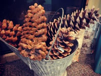Holiday Decor and Greens