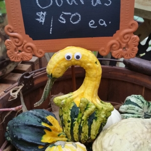 9 Creative Ways to Turn Garden Pumpkins into Masterpieces
