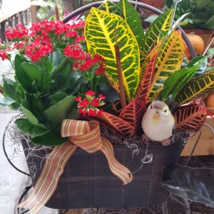 9 Creative Ways to Turn Garden Pumpkins into Masterpieces