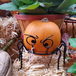 9 Creative Ways to Turn Garden Pumpkins into Masterpieces