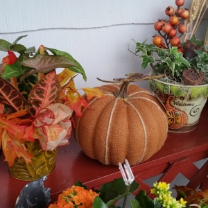 9 Creative Ways to Turn Garden Pumpkins into Masterpieces