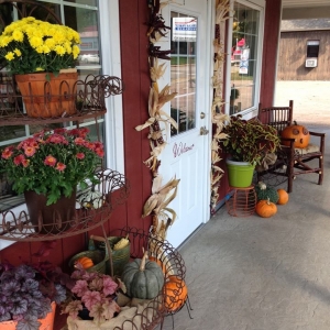 9 Creative Ways to Turn Garden Pumpkins into Masterpieces