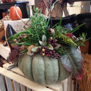 9 Creative Ways to Turn Garden Pumpkins into Masterpieces
