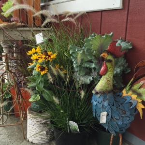 Fall Decor and Fall Mums at Blossom Town