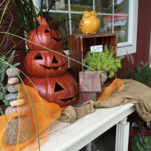 Fall Decor and Fall Mums at Blossom Town