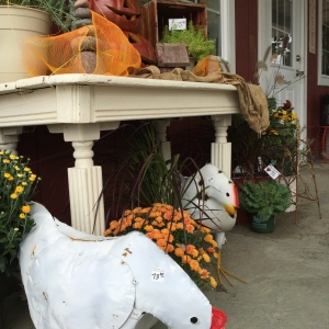 Fall Decor and Fall Mums at Blossom Town
