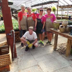 Spring in the Green House