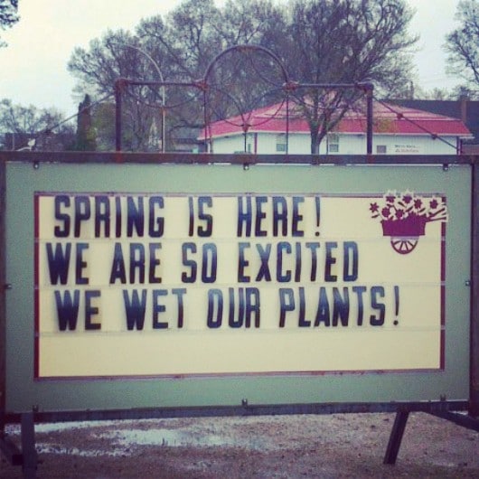 So excited, we wet our plants.