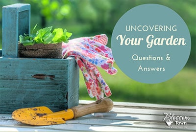 Uncovering Your Garden