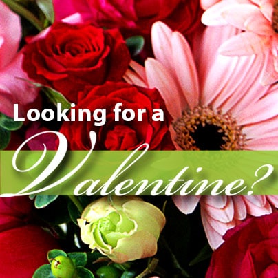 Looking for a Valentine?