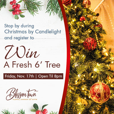 Win a Fresh Christmas Tree