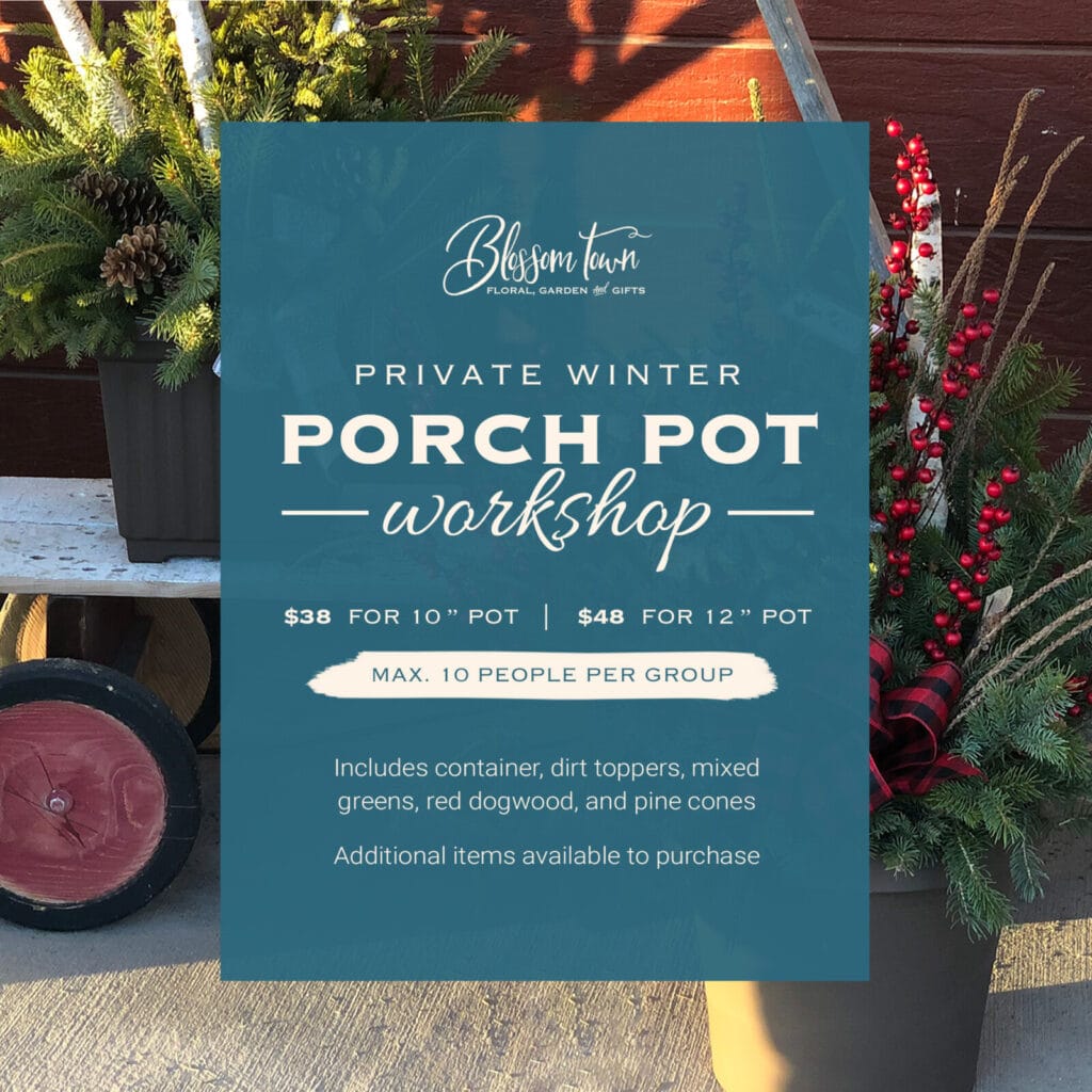 Winter Porch Pot Workshop