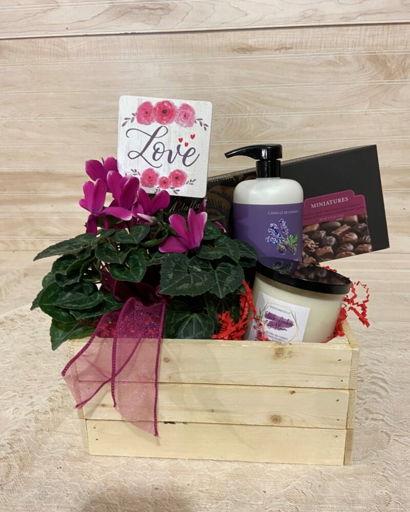 Blooming Plant Valentine's Gift Box