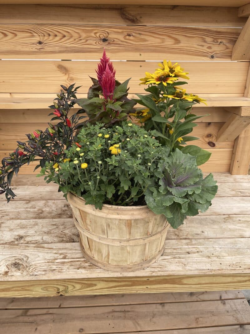 Bushel Of Color - Outdoor Fall Container
