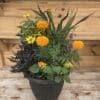 Fall Deco Pot - Outdoor Fall Container
