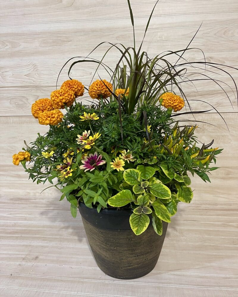 Fall Deco Combo Arrangement
