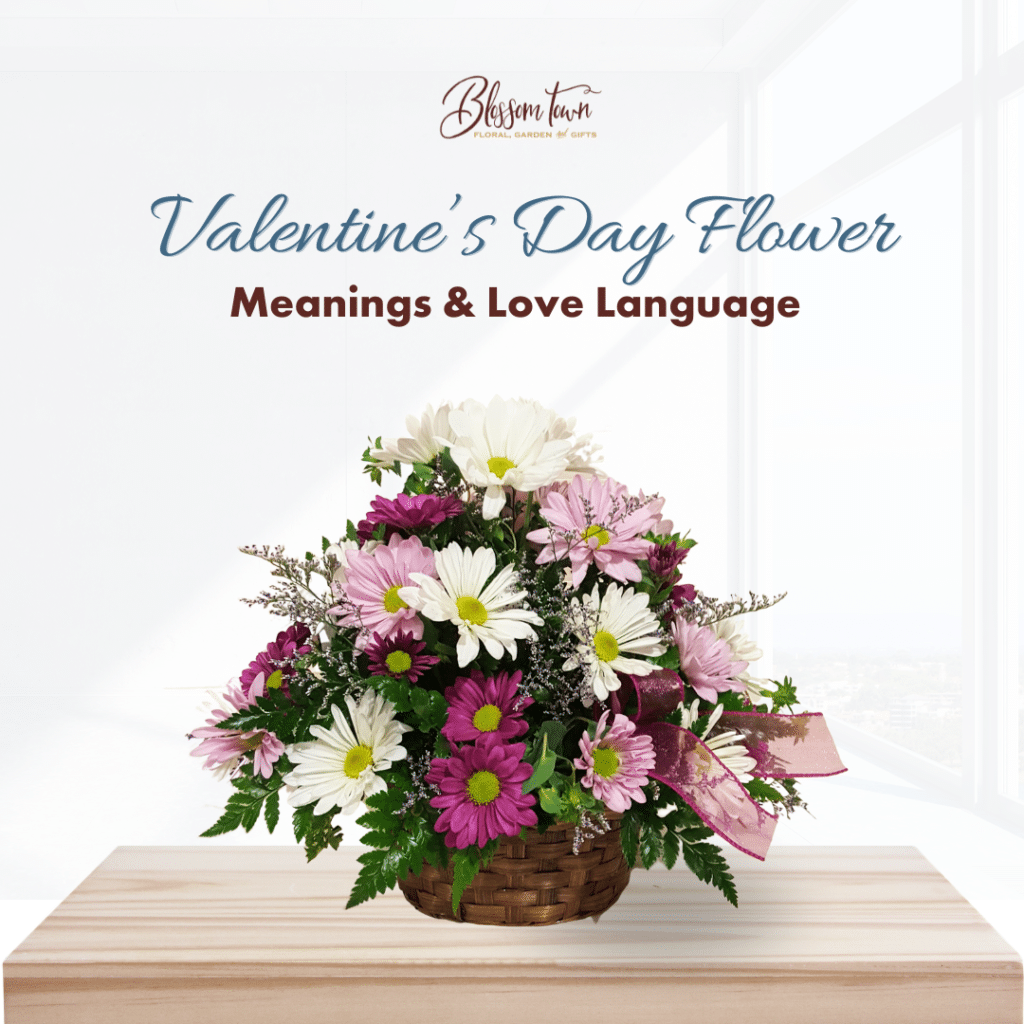 Valentines Flower Language Infographic
